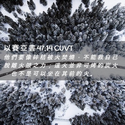 Picture 02 - 以 賽 亞 書 47:14 CUVT - 他 們 要 像 碎 秸 被 火 焚 燒 ， 不 - Bible Verse Picture