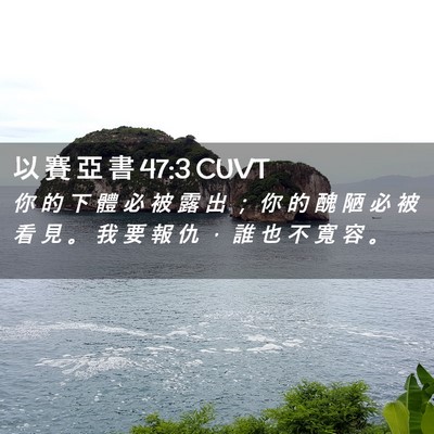 Picture 02 - 以 賽 亞 書 47:3 CUVT - 你 的 下 體 必 被 露 出 ； 你 的 醜 - Bible Verse Picture
