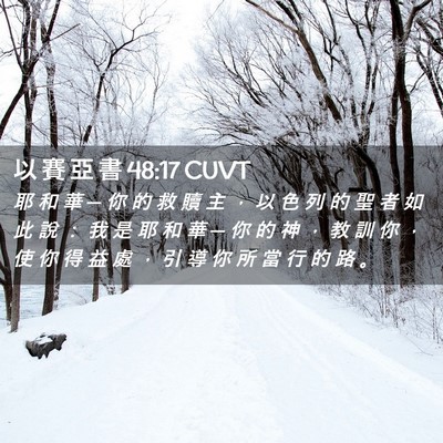 Picture 02 - 以 賽 亞 書 48:17 CUVT - 耶 和 華 ─ 你 的 救 贖 主 ， 以 色 - Bible Verse Picture