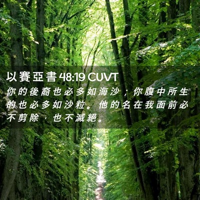 Picture 02 - 以 賽 亞 書 48:19 CUVT - 你 的 後 裔 也 必 多 如 海 沙 ； 你 - Bible Verse Picture