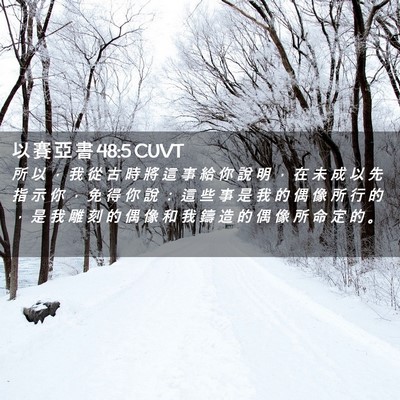 Picture 02 - 以 賽 亞 書 48:5 CUVT - 所 以 ， 我 從 古 時 將 這 事 給 你 - Bible Verse Picture