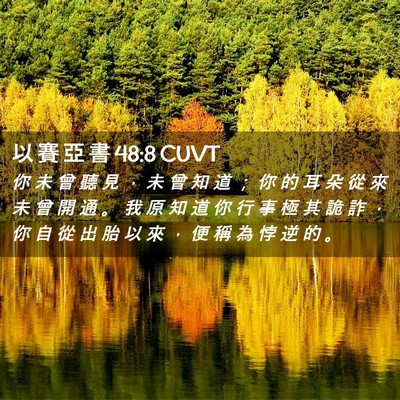 Picture 02 - 以 賽 亞 書 48:8 CUVT - 你 未 曾 聽 見 ， 未 曾 知 道 ； 你 - Bible Verse Picture