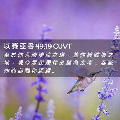 Picture 02 - 以 賽 亞 書 49:19 CUVT - 至 於 你 荒 廢 淒 涼 之 處 ， 並 你 - Bible Verse Picture