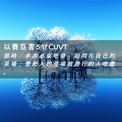 Picture 02 - 以 賽 亞 書 5:17 CUVT - 那 時 ， 羊 羔 必 來 吃 草 ， 如 同 - Bible Verse Picture