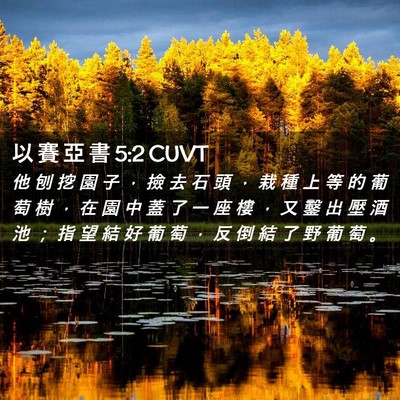 Picture 02 - 以 賽 亞 書 5:2 CUVT - 他 刨 挖 園 子 ， 撿 去 石 頭 ， 栽 - Bible Verse Picture