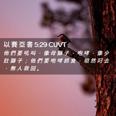 Picture 02 - 以 賽 亞 書 5:29 CUVT - 他 們 要 吼 叫 ， 像 母 獅 子 ， 咆 - Bible Verse Picture