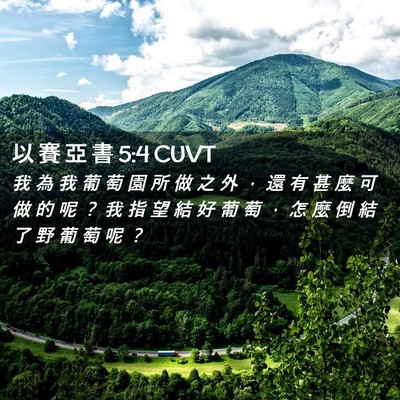 Picture 02 - 以 賽 亞 書 5:4 CUVT - 我 為 我 葡 萄 園 所 做 之 外 ， 還 - Bible Verse Picture