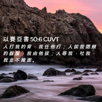 Picture 02 - 以 賽 亞 書 50:6 CUVT - 人 打 我 的 背 ， 我 任 他 打 ； 人 - Bible Verse Picture