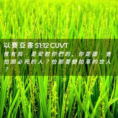 Picture 02 - 以 賽 亞 書 51:12 CUVT - 惟 有 我 ， 是 安 慰 你 們 的 。 你 - Bible Verse Picture