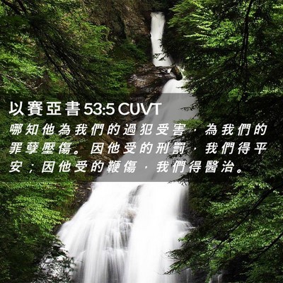 Picture 02 - 以 賽 亞 書 53:5 CUVT - 哪 知 他 為 我 們 的 過 犯 受 害 ， - Bible Verse Picture