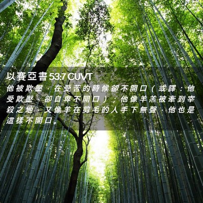 Picture 02 - 以 賽 亞 書 53:7 CUVT - 他 被 欺 壓 ， 在 受 苦 的 時 候 卻 - Bible Verse Picture