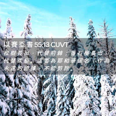 Picture 02 - 以 賽 亞 書 55:13 CUVT - 松 樹 長 出 ， 代 替 荊 棘 ； 番 石 - Bible Verse Picture