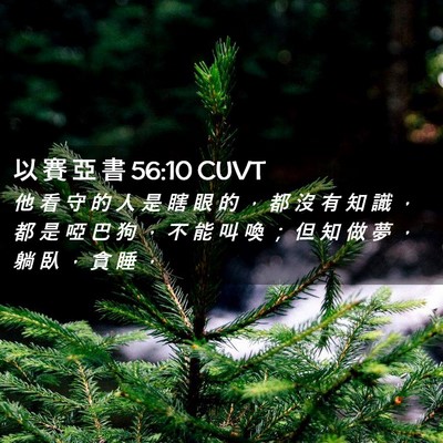 Picture 02 - 以 賽 亞 書 56:10 CUVT - 他 看 守 的 人 是 瞎 眼 的 ， 都 沒 - Bible Verse Picture