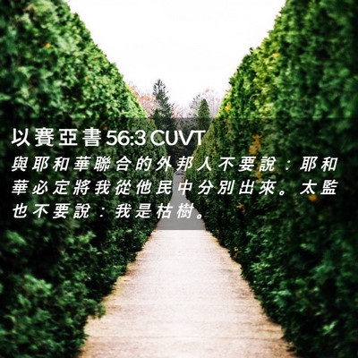 Picture 02 - 以 賽 亞 書 56:3 CUVT - 與 耶 和 華 聯 合 的 外 邦 人 不 要 - Bible Verse Picture