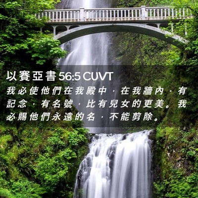 Picture 02 - 以 賽 亞 書 56:5 CUVT - 我 必 使 他 們 在 我 殿 中 ， 在 我 - Bible Verse Picture