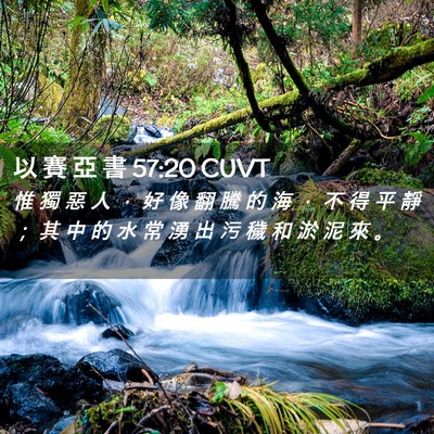 Picture 02 - 以 賽 亞 書 57:20 CUVT - 惟 獨 惡 人 ， 好 像 翻 騰 的 海 ， - Bible Verse Picture