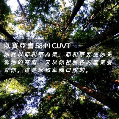 Picture 02 - 以 賽 亞 書 58:14 CUVT - 你 就 以 耶 和 華 為 樂 。 耶 和 華 - Bible Verse Picture