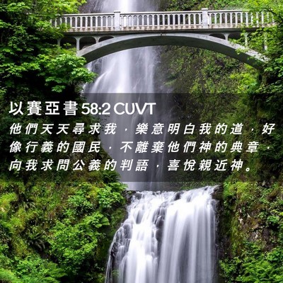 Picture 02 - 以 賽 亞 書 58:2 CUVT - 他 們 天 天 尋 求 我 ， 樂 意 明 白 - Bible Verse Picture