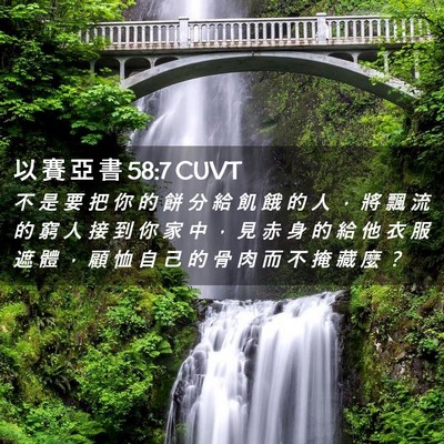 Picture 02 - 以 賽 亞 書 58:7 CUVT - 不 是 要 把 你 的 餅 分 給 飢 餓 的 - Bible Verse Picture