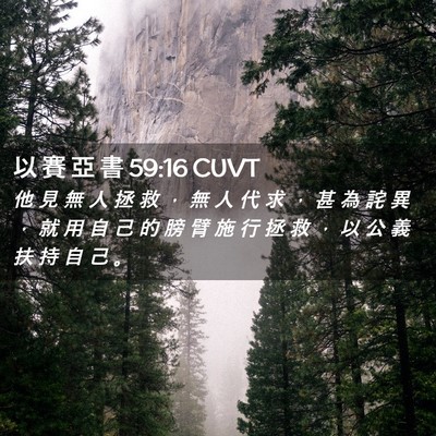 Picture 02 - 以 賽 亞 書 59:16 CUVT - 他 見 無 人 拯 救 ， 無 人 代 求 ， - Bible Verse Picture