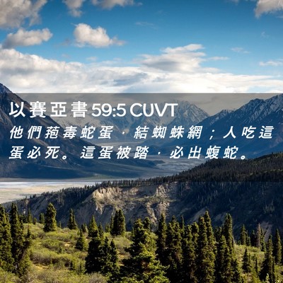 Picture 02 - 以 賽 亞 書 59:5 CUVT - 他 們 菢 毒 蛇 蛋 ， 結 蜘 蛛 網 ； - Bible Verse Picture