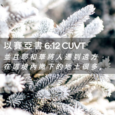 Picture 02 - 以 賽 亞 書 6:12 CUVT - 並 且 耶 和 華 將 人 遷 到 遠 方 ， - Bible Verse Picture