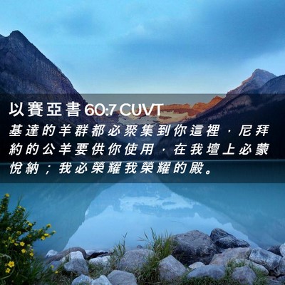 Picture 02 - 以 賽 亞 書 60:7 CUVT - 基 達 的 羊 群 都 必 聚 集 到 你 這 - Bible Verse Picture