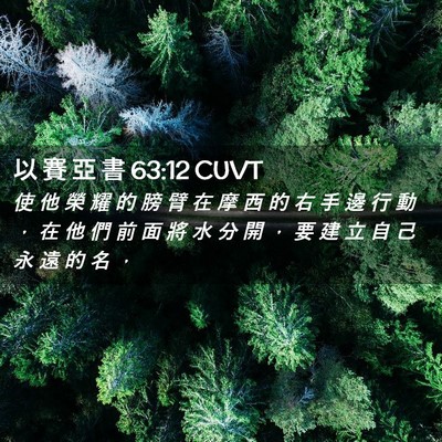 Picture 02 - 以 賽 亞 書 63:12 CUVT - 使 他 榮 耀 的 膀 臂 在 摩 西 的 右 - Bible Verse Picture