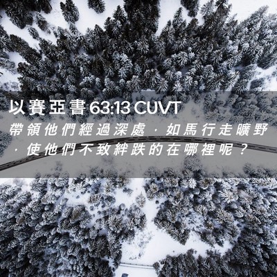 Picture 02 - 以 賽 亞 書 63:13 CUVT - 帶 領 他 們 經 過 深 處 ， 如 馬 行 - Bible Verse Picture