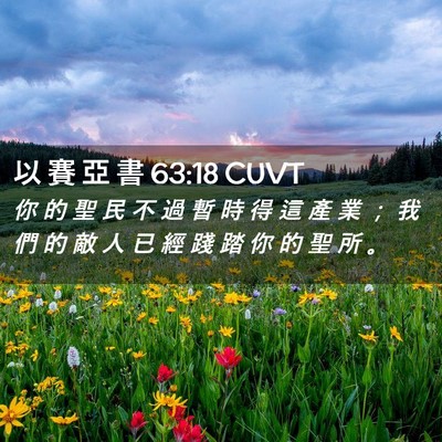 Picture 02 - 以 賽 亞 書 63:18 CUVT - 你 的 聖 民 不 過 暫 時 得 這 產 業 - Bible Verse Picture