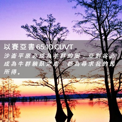 Picture 02 - 以 賽 亞 書 65:10 CUVT - 沙 崙 平 原 必 成 為 羊 群 的 圈 ； - Bible Verse Picture