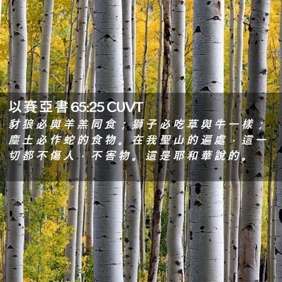 Picture 02 - 以 賽 亞 書 65:25 CUVT - 豺 狼 必 與 羊 羔 同 食 ； 獅 子 必 - Bible Verse Picture