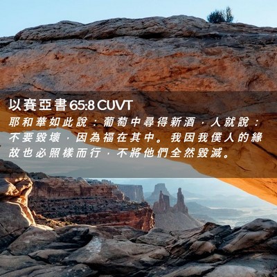 Picture 02 - 以 賽 亞 書 65:8 CUVT - 耶 和 華 如 此 說 ： 葡 萄 中 尋 得 - Bible Verse Picture