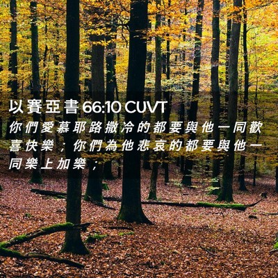 Picture 02 - 以 賽 亞 書 66:10 CUVT - 你 們 愛 慕 耶 路 撒 冷 的 都 要 與 - Bible Verse Picture