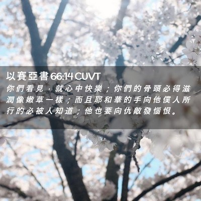 Picture 02 - 以 賽 亞 書 66:14 CUVT - 你 們 看 見 ， 就 心 中 快 樂 ； 你 - Bible Verse Picture