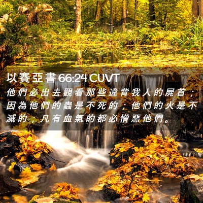 Picture 02 - 以 賽 亞 書 66:24 CUVT - 他 們 必 出 去 觀 看 那 些 違 背 我 - Bible Verse Picture