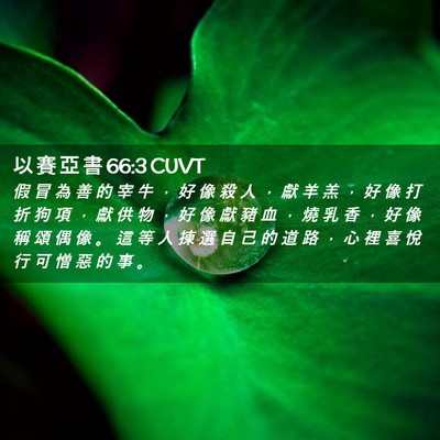 Picture 02 - 以 賽 亞 書 66:3 CUVT - 假 冒 為 善 的 宰 牛 ， 好 像 殺 人 - Bible Verse Picture