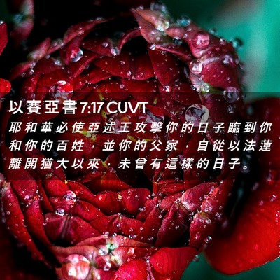 Picture 02 - 以 賽 亞 書 7:17 CUVT - 耶 和 華 必 使 亞 述 王 攻 擊 你 的 - Bible Verse Picture