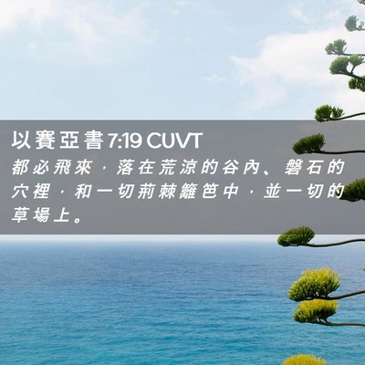 Picture 02 - 以 賽 亞 書 7:19 CUVT - 都 必 飛 來 ， 落 在 荒 涼 的 谷 內 - Bible Verse Picture