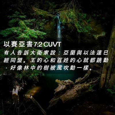 Picture 02 - 以 賽 亞 書 7:2 CUVT - 有 人 告 訴 大 衛 家 說 ： 亞 蘭 與 - Bible Verse Picture