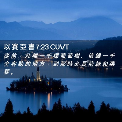 Picture 02 - 以 賽 亞 書 7:23 CUVT - 從 前 ， 凡 種 一 千 棵 葡 萄 樹 、 - Bible Verse Picture