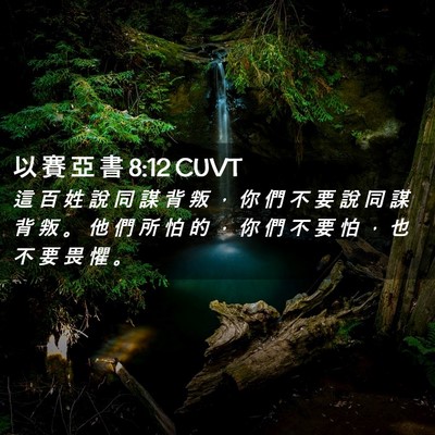 Picture 02 - 以 賽 亞 書 8:12 CUVT - 這 百 姓 說 同 謀 背 叛 ， 你 們 不 - Bible Verse Picture