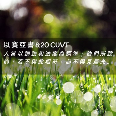 Picture 02 - 以 賽 亞 書 8:20 CUVT - 人 當 以 訓 誨 和 法 度 為 標 準 ； - Bible Verse Picture