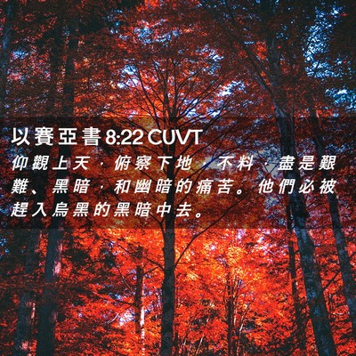 Picture 02 - 以 賽 亞 書 8:22 CUVT - 仰 觀 上 天 ， 俯 察 下 地 ， 不 料 - Bible Verse Picture