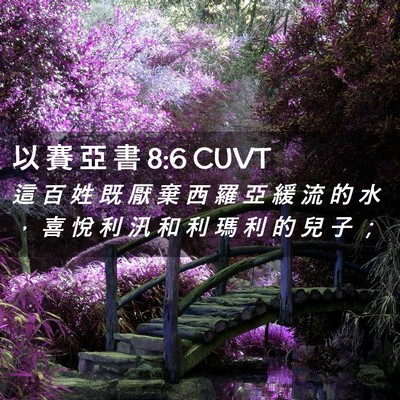 Picture 02 - 以 賽 亞 書 8:6 CUVT - 這 百 姓 既 厭 棄 西 羅 亞 緩 流 的 - Bible Verse Picture