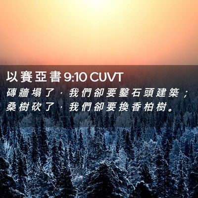 Picture 02 - 以 賽 亞 書 9:10 CUVT - 磚 牆 塌 了 ， 我 們 卻 要 鑿 石 頭 - Bible Verse Picture