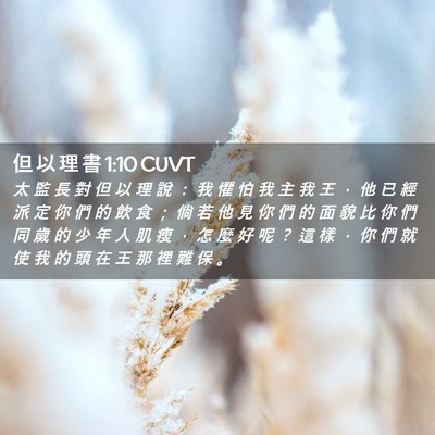 Picture 02 - 但 以 理 書 1:10 CUVT - 太 監 長 對 但 以 理 說 ： 我 懼 怕 - Bible Verse Picture