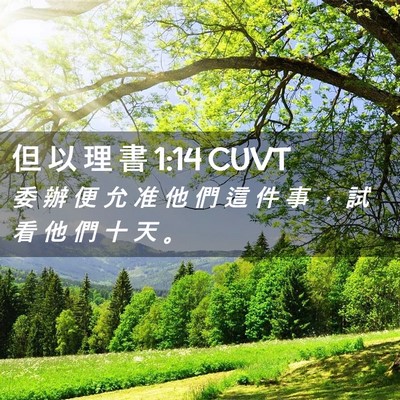 Picture 02 - 但 以 理 書 1:14 CUVT - 委 辦 便 允 准 他 們 這 件 事 ， 試 - Bible Verse Picture