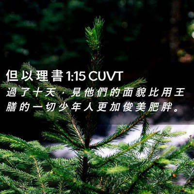 Picture 02 - 但 以 理 書 1:15 CUVT - 過 了 十 天 ， 見 他 們 的 面 貌 比 - Bible Verse Picture