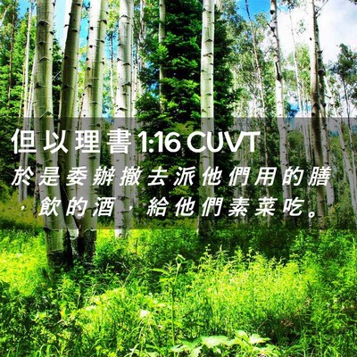 Picture 02 - 但 以 理 書 1:16 CUVT - 於 是 委 辦 撤 去 派 他 們 用 的 膳 - Bible Verse Picture